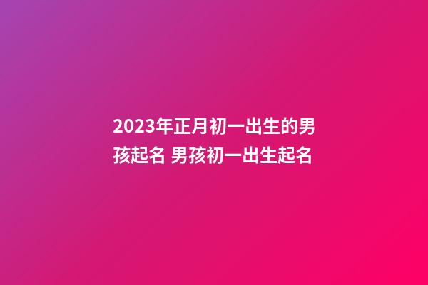 2023年正月初一出生的男孩起名 男孩初一出生起名